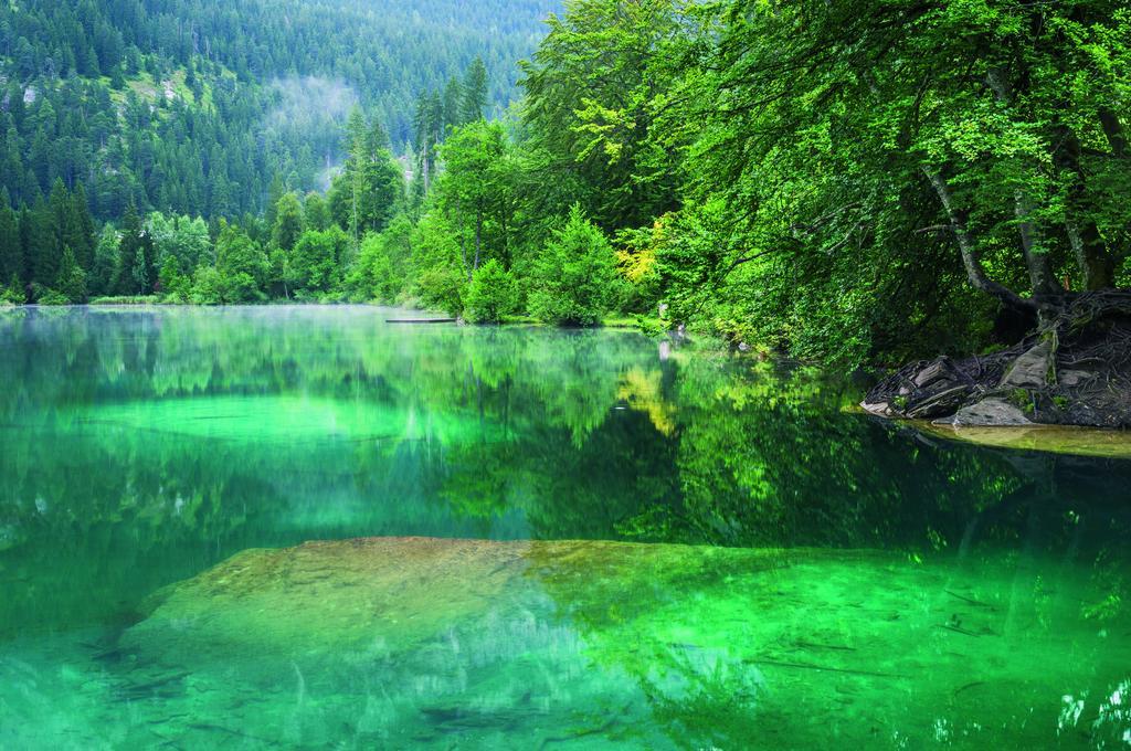 Edelweiss Mira Neiv Daire Flims Dış mekan fotoğraf