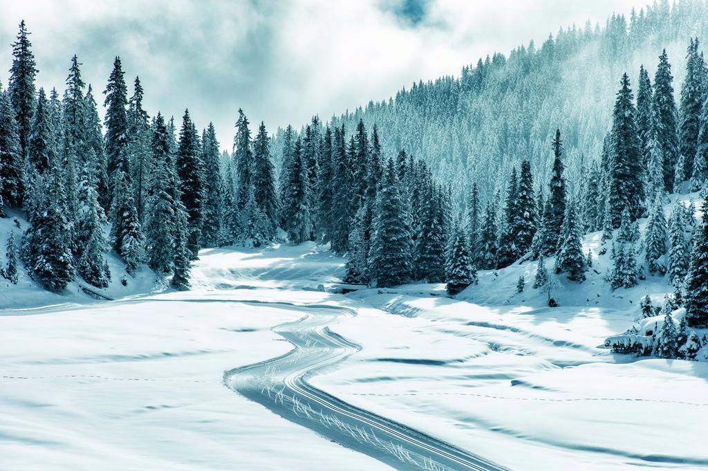 Edelweiss Mira Neiv Daire Flims Dış mekan fotoğraf